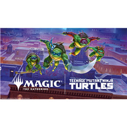 28/02 INSCRIPTION PRE-RELEASE TORTUES NINJA - INDIVIDUELLE (NAMUR)