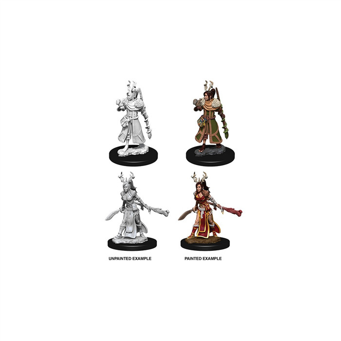 D&D MINIATURES: FEMALE HUMAN DRUID D&D MINIATURES: FEMALE HUMAN DRUID
