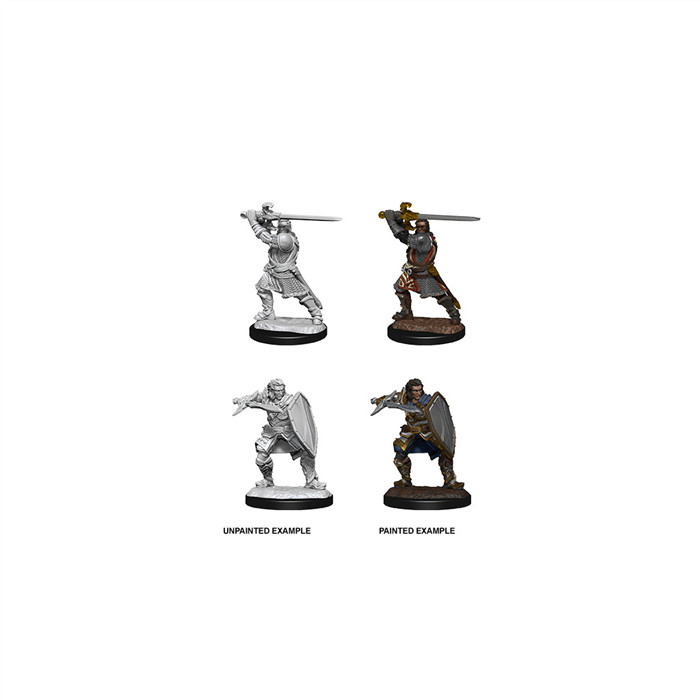 D&D MINIATURES: HUMAN PALADIN MALE D&D MINIATURES: HUMAN PALADIN MALE