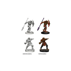 D&D MINIATURES: MALE DRAGONBORN FIGHTER