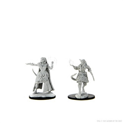 D&D MINIATURES: TIEFLING FEMALE SORCERER