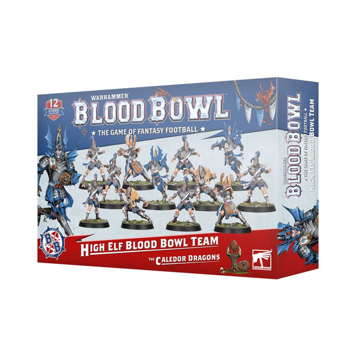 ÉQUIPE BLOOD BOWL DE HAUTS ELFES: LES CALEDOR DRAGONS ÉQUIPE BLOOD BOWL DE HAUTS ELFES: LES CALEDOR DRAGONS