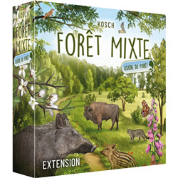 FORÊT MIXTE - EXT. WOODLAND EDGE