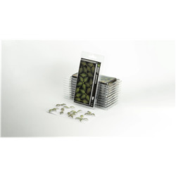 LASER PLANTS - BRACKEN