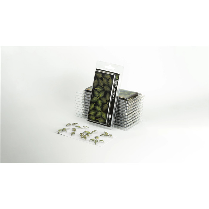 LASER PLANTS - BRACKEN LASER PLANTS - BRACKEN