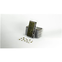 LASER PLANTS - DUMB CANE