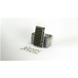 LASER PLANTS - LORDS AND LADIES