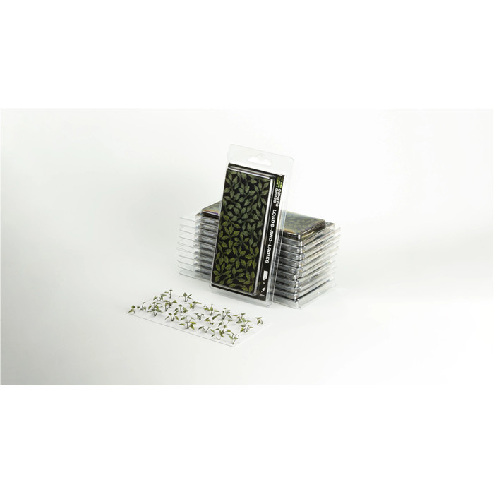 LASER PLANTS - LORDS AND LADIES LASER PLANTS - LORDS AND LADIES