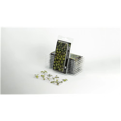 LASER PLANTS - MONSTERA