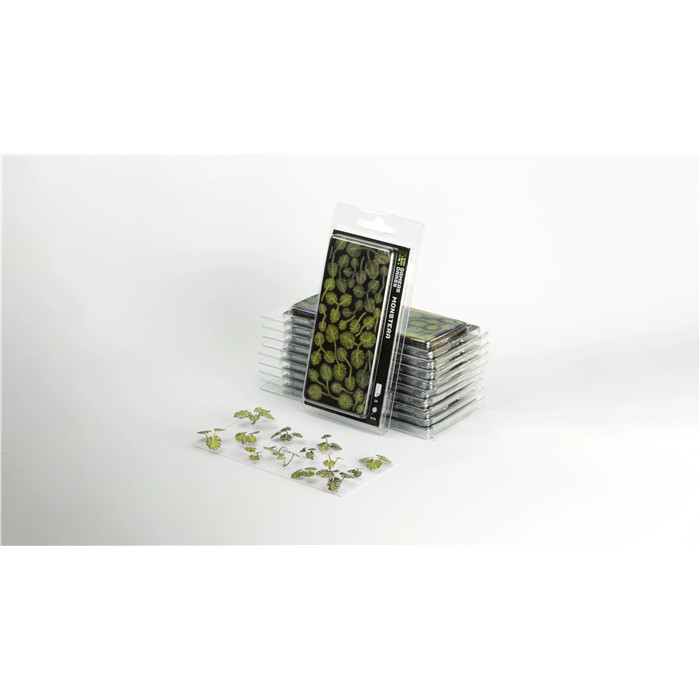 LASER PLANTS - MONSTERA LASER PLANTS - MONSTERA